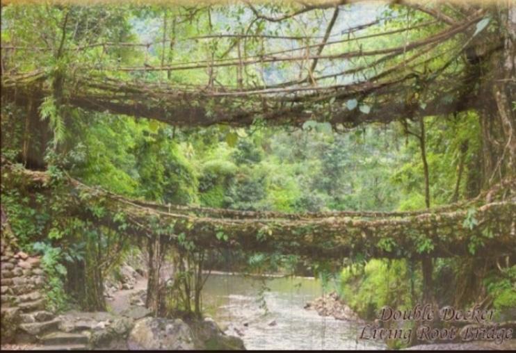 Living Roots Lodge Cherrapunji Exterior photo