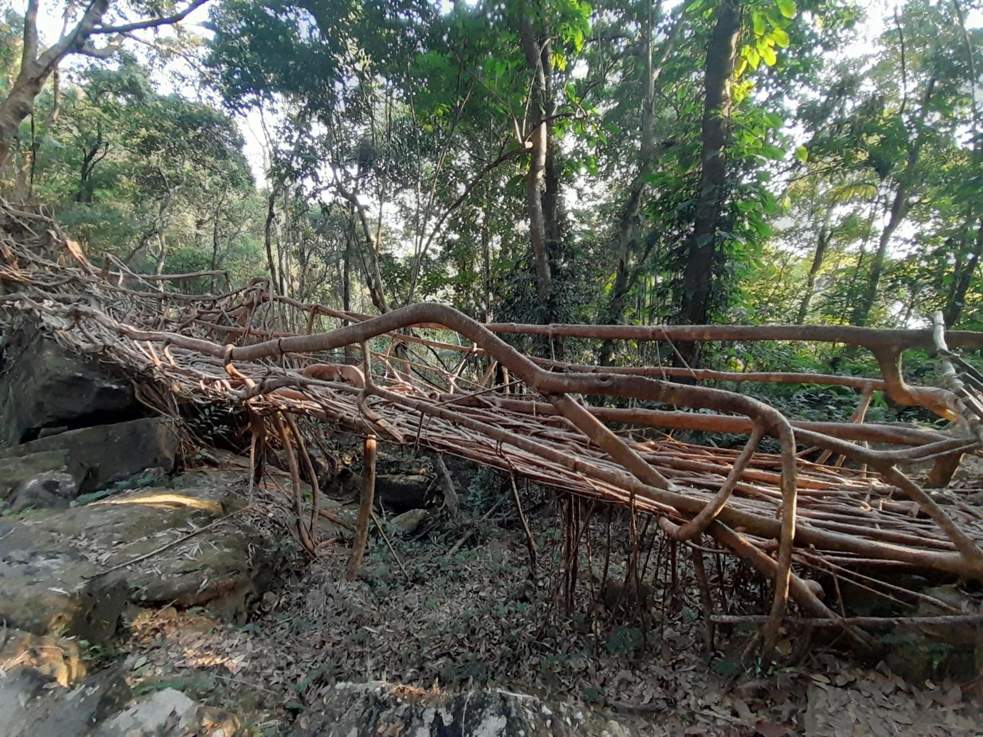 Living Roots Lodge Cherrapunji Exterior photo